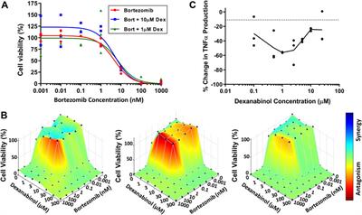 Systems Pharmacology Modeling Identifies a Novel Treatment Strategy for Bortezomib-Induced Neuropathic Pain